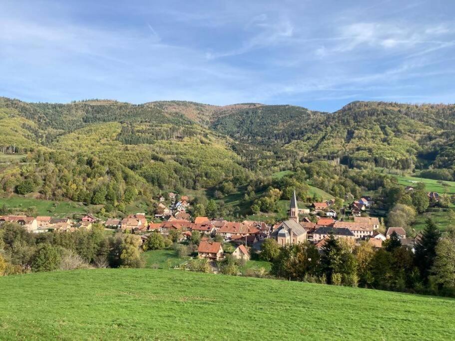 Logement Chaleureux, Vallee De Ville Steige المظهر الخارجي الصورة